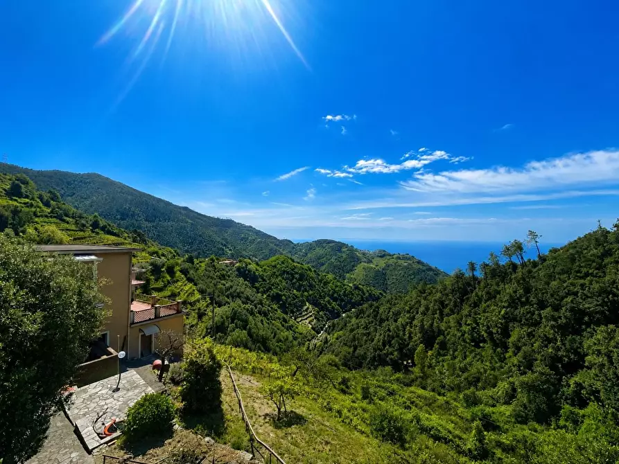 Immagine 1 di Appartamento in vendita  a Vernazza