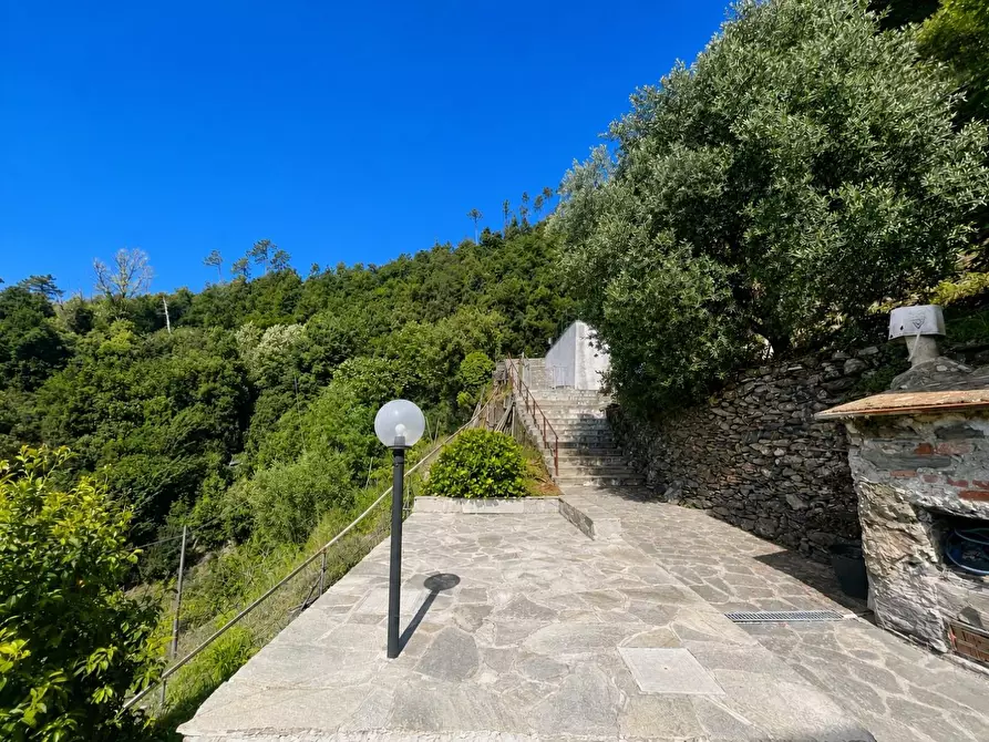 Immagine 3 di Appartamento in vendita  a Vernazza
