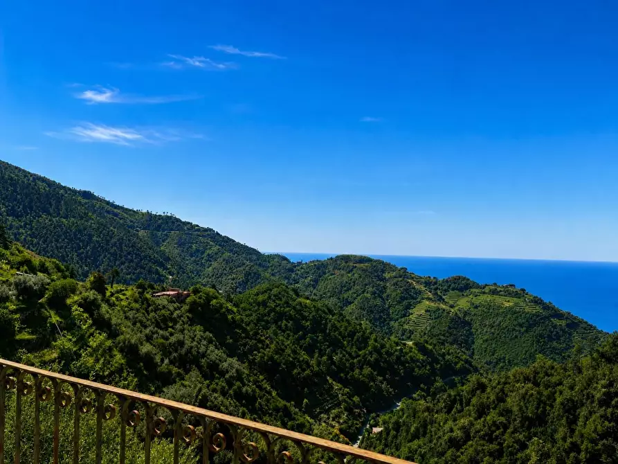 Immagine 14 di Appartamento in vendita  a Vernazza
