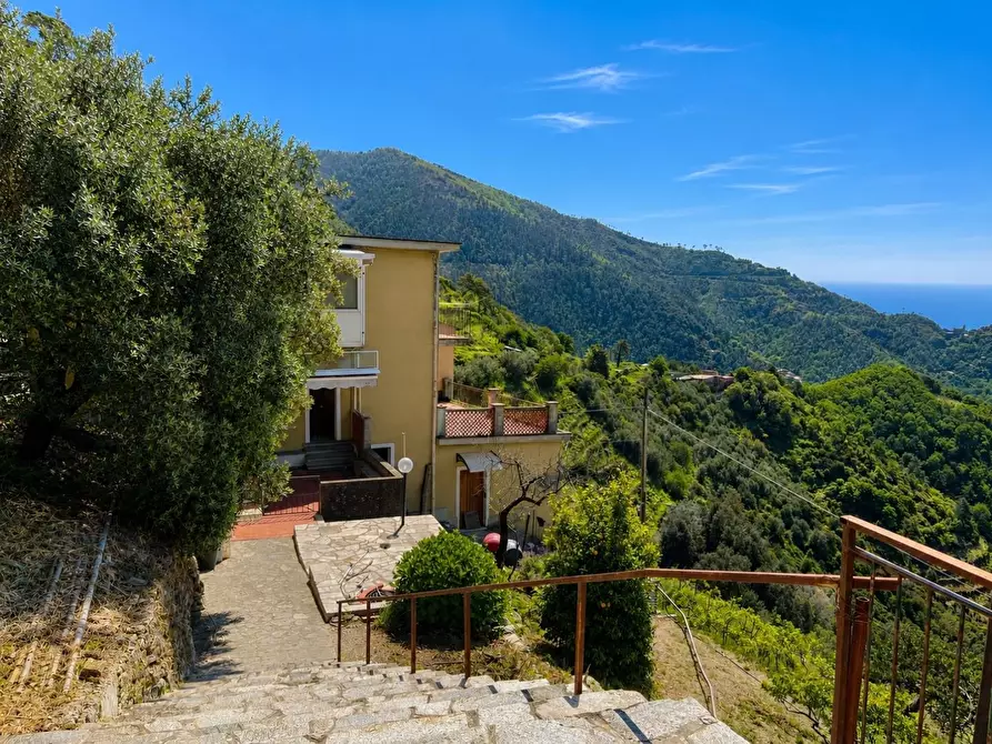 Immagine 2 di Appartamento in vendita  a Vernazza