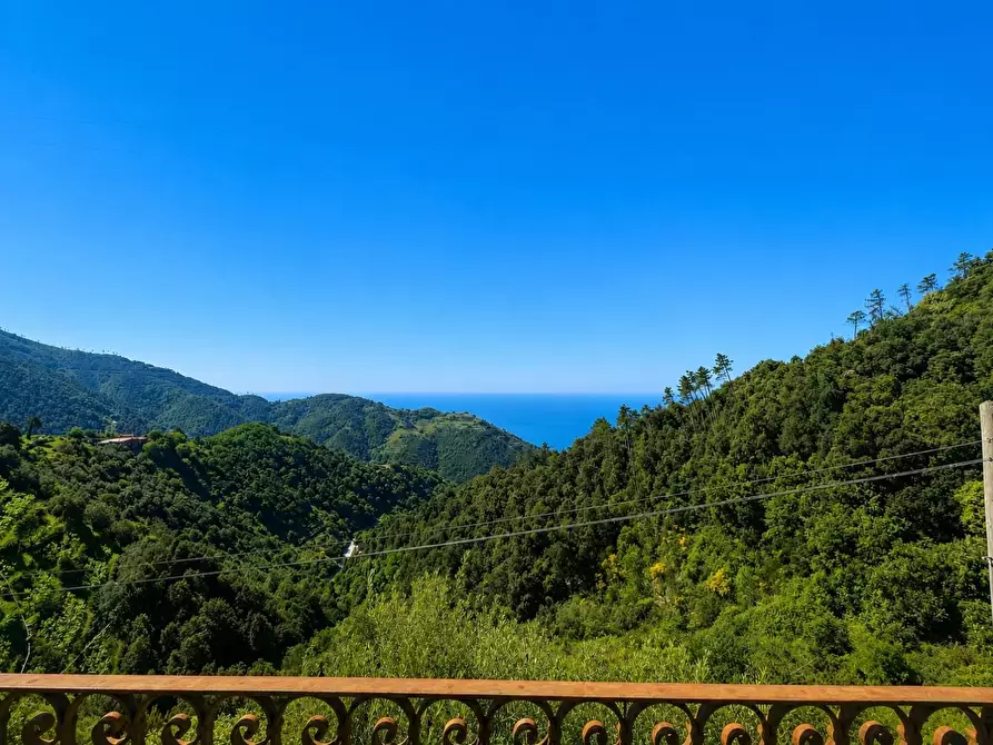 Immagine 13 di Appartamento in vendita  a Vernazza