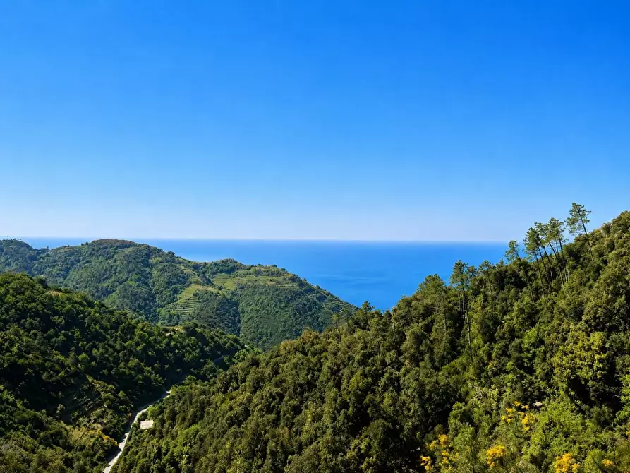 Immagine 7 di Appartamento in vendita  a Vernazza