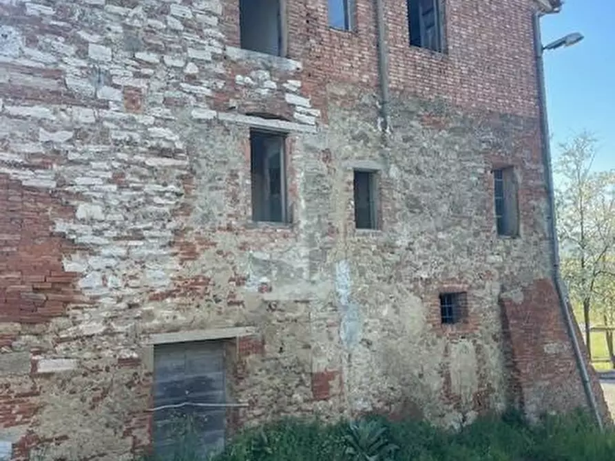 Immagine 4 di Casa colonica in vendita  a Asciano