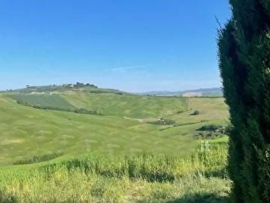 Immagine 8 di Casa colonica in vendita  a Asciano