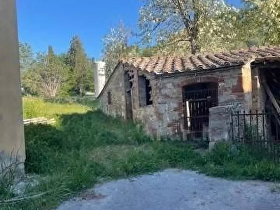 Immagine 6 di Casa colonica in vendita  a Asciano