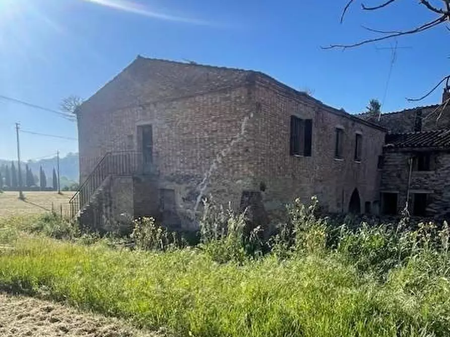 Immagine 2 di Casa colonica in vendita  a Asciano