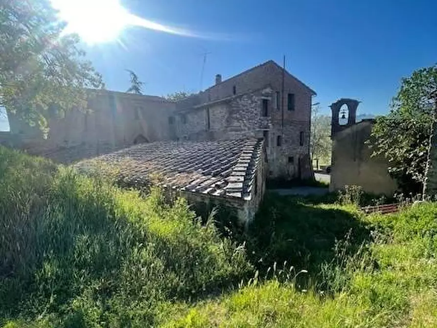 Immagine 1 di Casa colonica in vendita  a Asciano