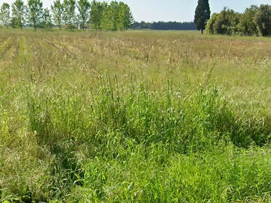 Immagine 1 di Villa in vendita  a San Giuliano Terme