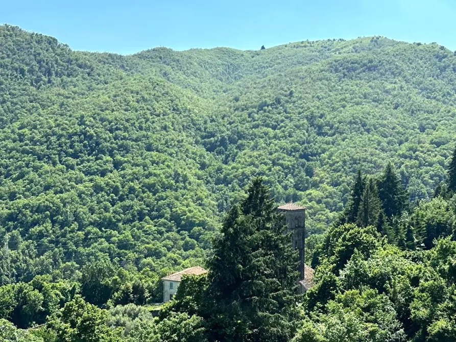 Immagine 14 di Terratetto in vendita  a Villa Basilica