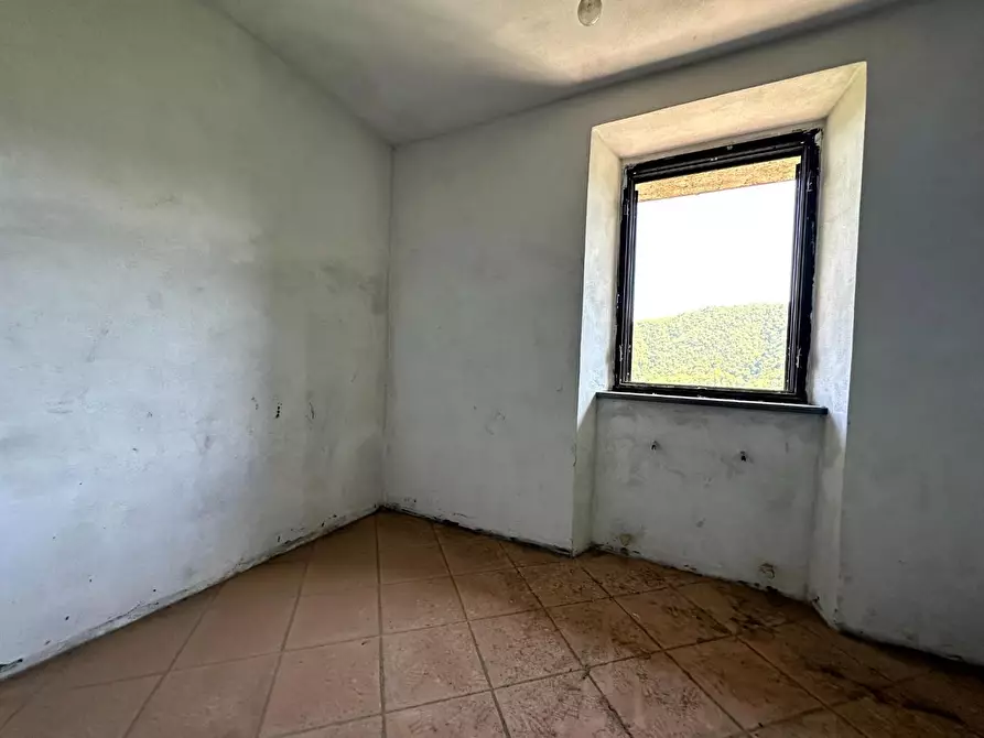 Immagine 8 di Terratetto in vendita  a Villa Basilica