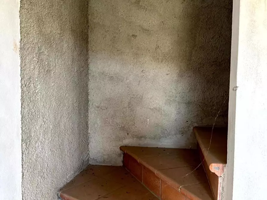 Immagine 6 di Terratetto in vendita  a Villa Basilica
