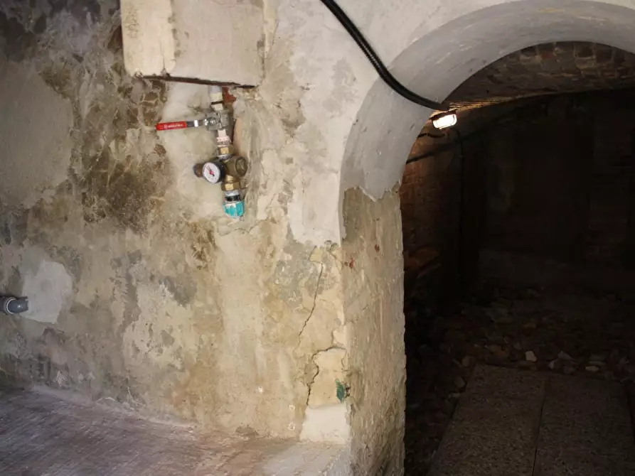 Immagine 26 di Terratetto in vendita  a Crespina Lorenzana
