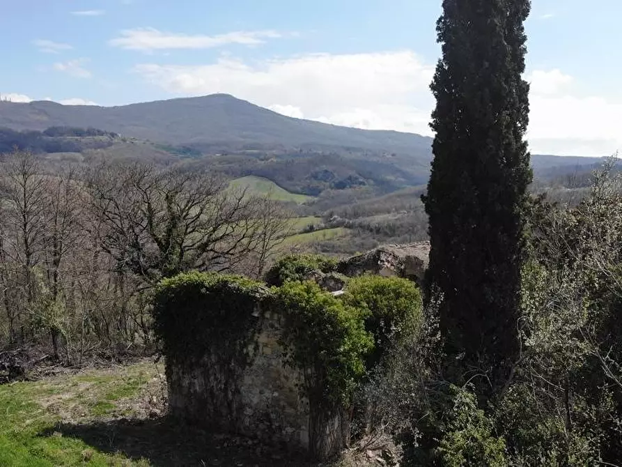 Immagine 6 di Casa colonica in vendita  a Radicofani