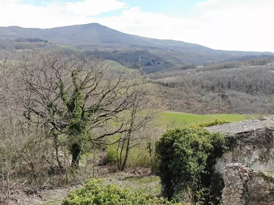 Immagine 3 di Casa colonica in vendita  a Radicofani