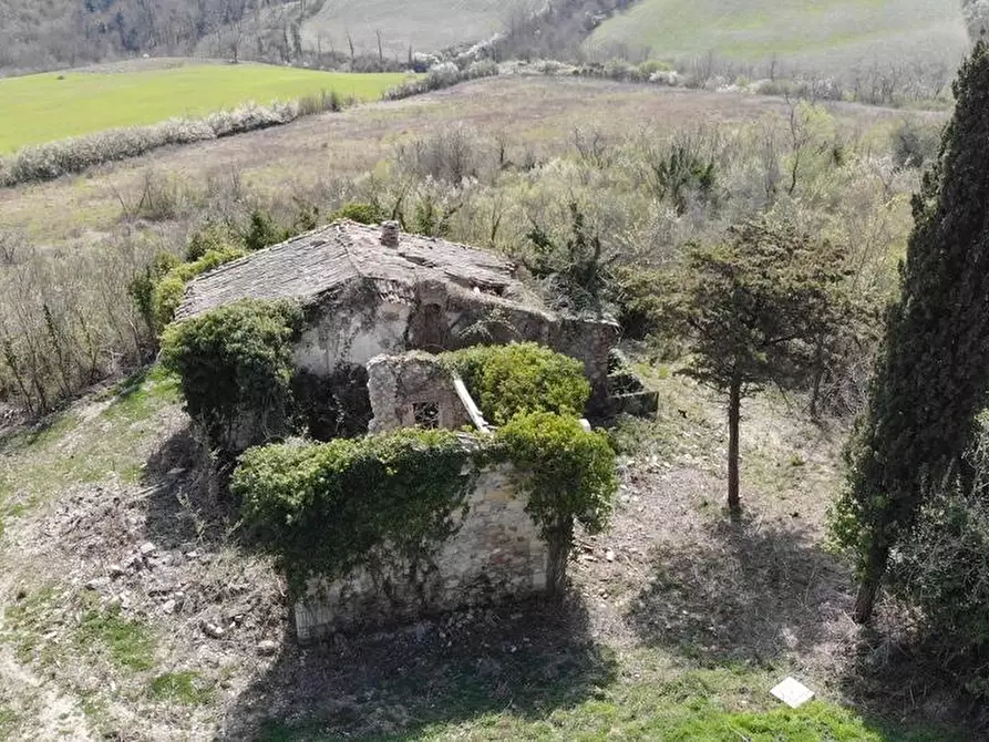 Immagine 7 di Casa colonica in vendita  a Radicofani