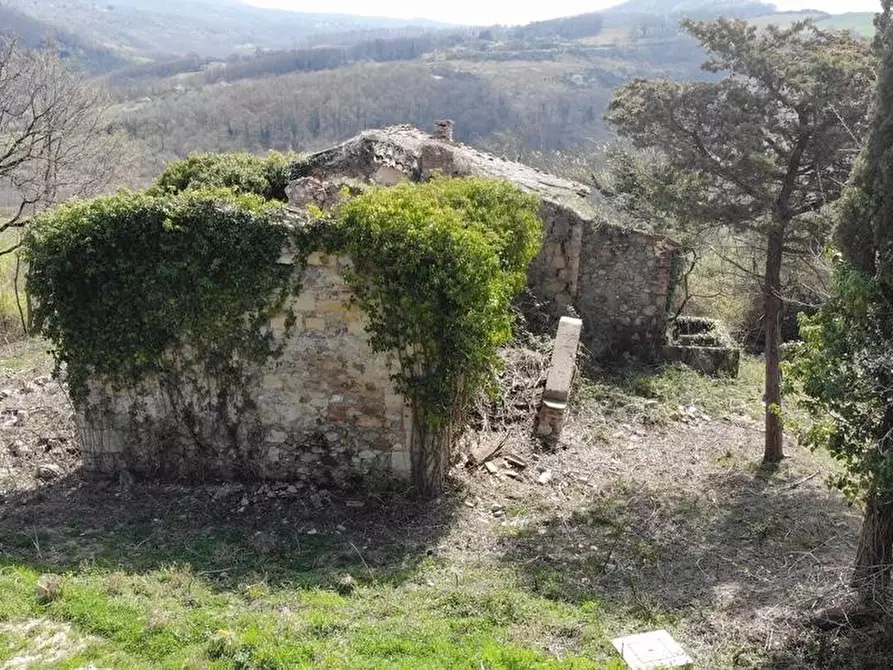 Immagine 5 di Casa colonica in vendita  a Radicofani