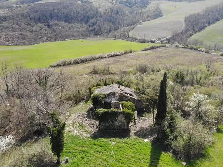 Immagine 1 di Casa colonica in vendita  a Radicofani