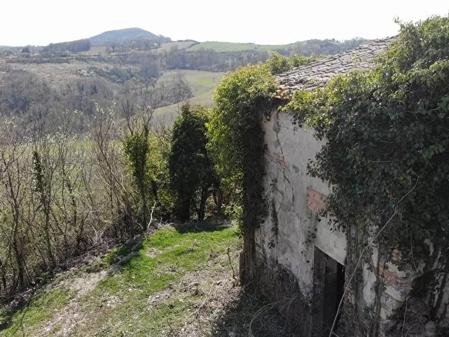 Immagine 2 di Casa colonica in vendita  a Radicofani