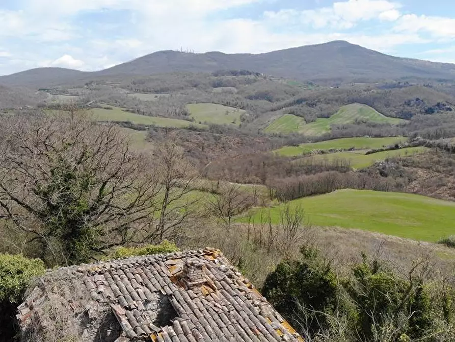Immagine 4 di Casa colonica in vendita  a Radicofani