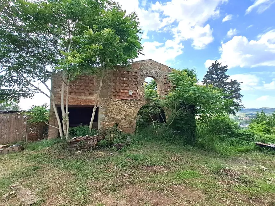 Immagine 3 di Casa colonica in vendita  a Poggibonsi