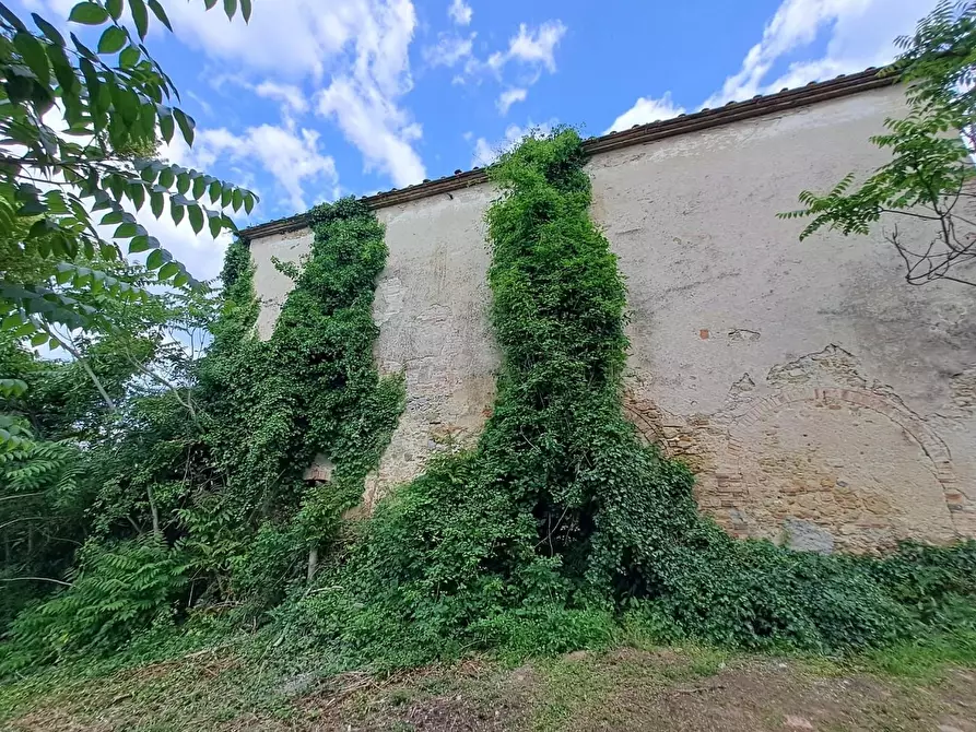 Immagine 6 di Casa colonica in vendita  a Poggibonsi