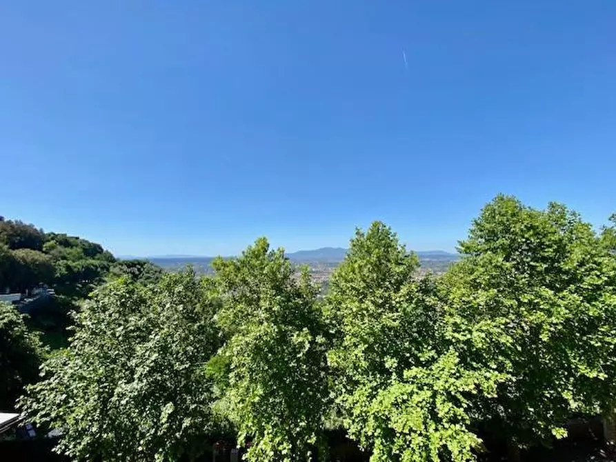 Immagine 13 di Appartamento in vendita  a Montecatini Terme