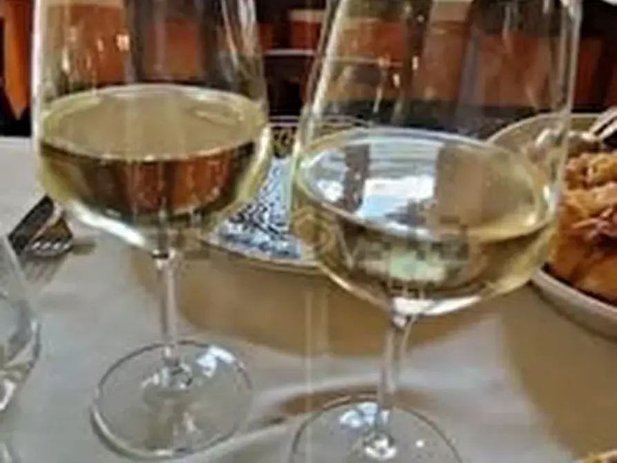 Immagine 10 di Bar / Ristorante in vendita  a Vecchiano