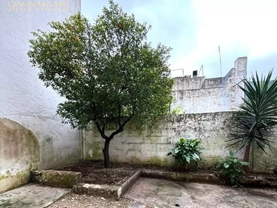 Immagine 1 di Appartamento in vendita  a Presicce