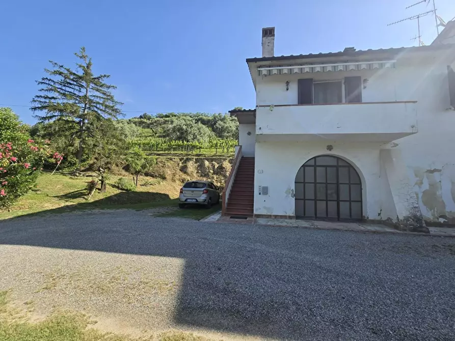 Immagine 2 di Terratetto in vendita  a Palaia