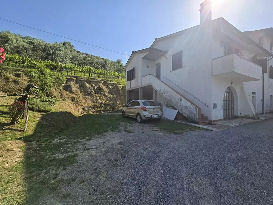 Immagine 1 di Terratetto in vendita  a Palaia