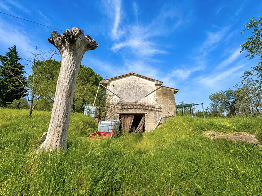 Immagine 2 di Casa indipendente in vendita  a Palaia