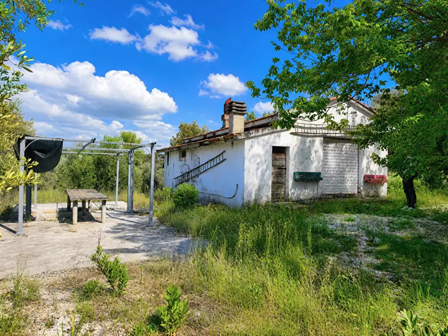 Immagine 7 di Casa indipendente in vendita  a Palaia