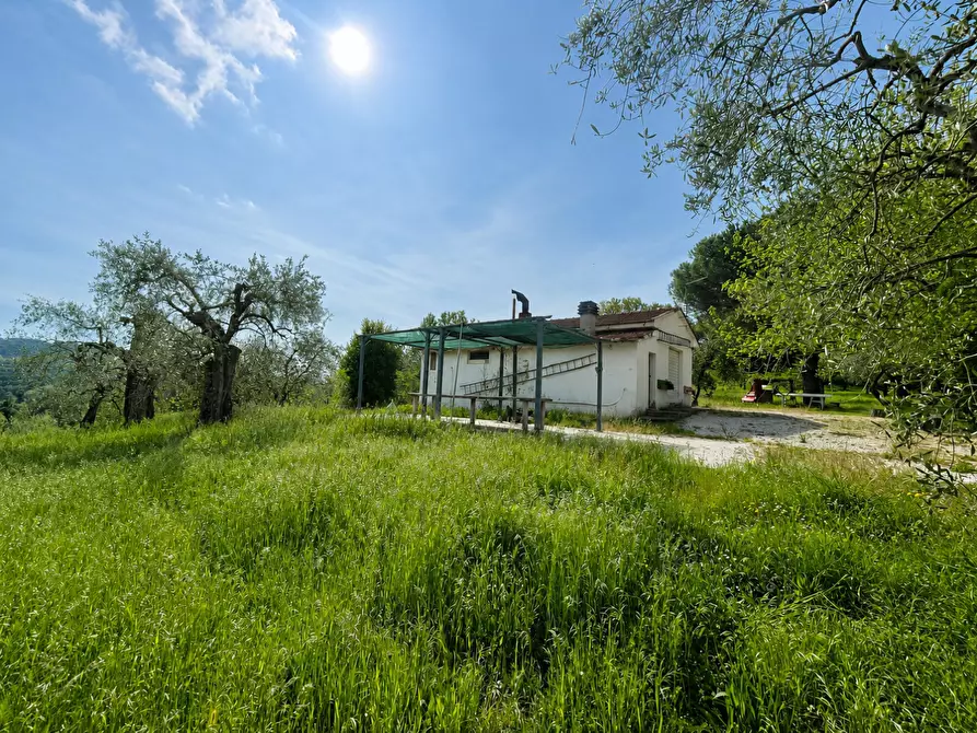 Immagine 13 di Casa indipendente in vendita  a Palaia