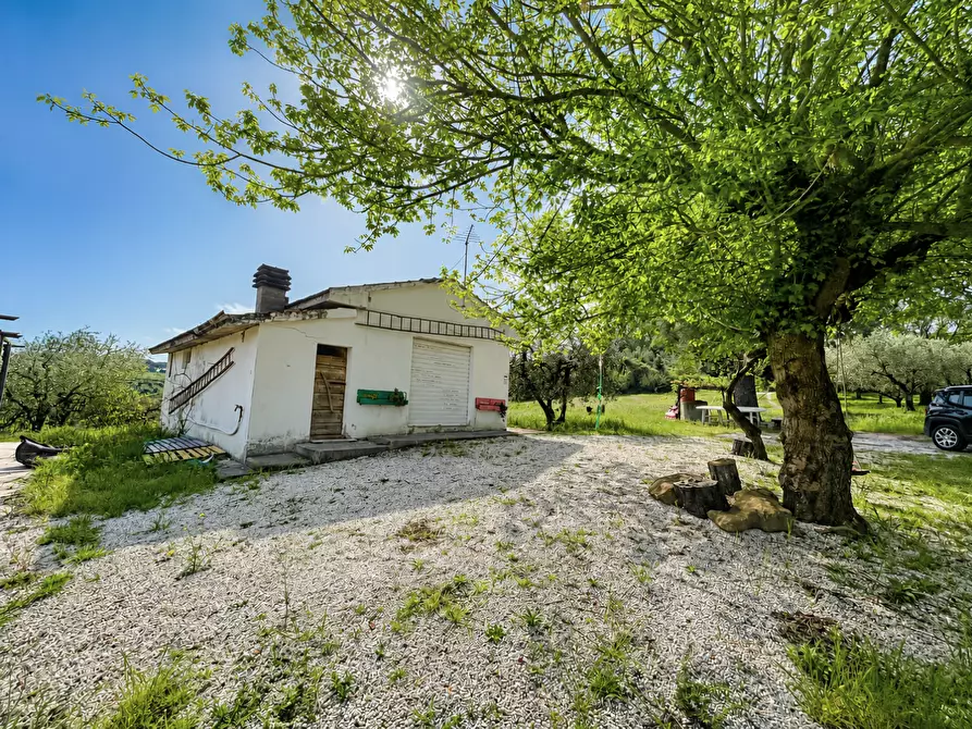 Immagine 4 di Casa indipendente in vendita  a Palaia