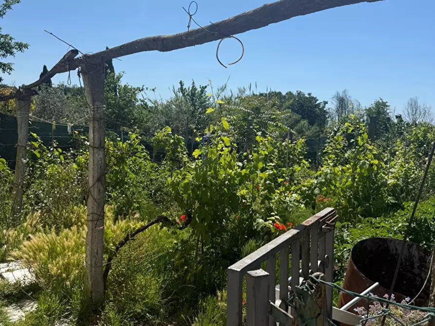 Immagine 4 di Casa indipendente in vendita  a Ortonovo