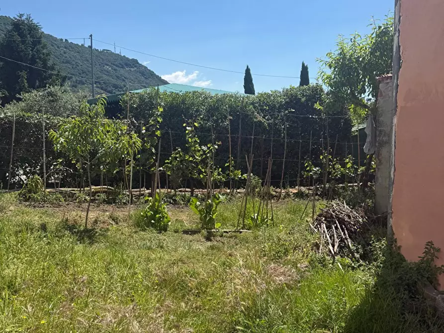 Immagine 3 di Casa indipendente in vendita  a Ortonovo