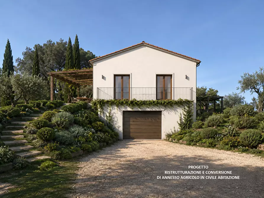 Immagine 3 di Casa indipendente in vendita  a Palaia