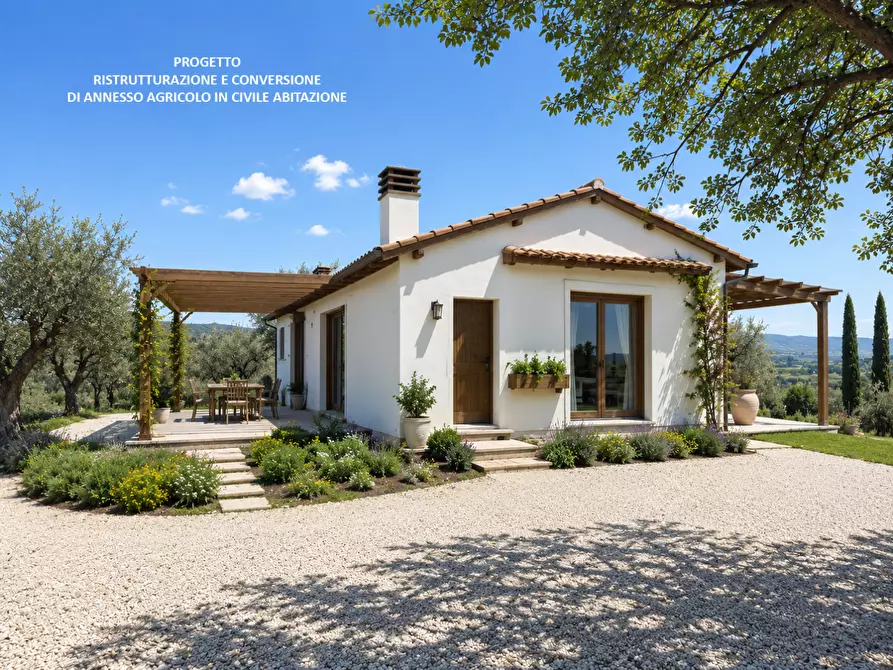 Immagine 1 di Casa indipendente in vendita  a Palaia