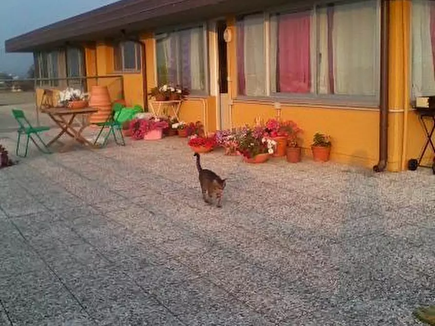 Immagine 8 di Mansarda in vendita  a Agliana