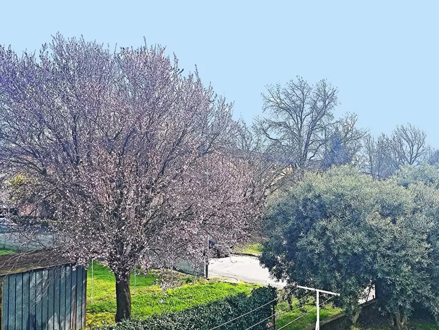 Immagine 54 di Villa in vendita  a Lucca