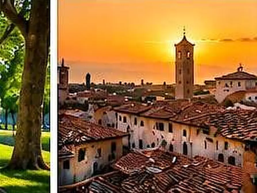 Immagine 29 di Attività artigianale in vendita  a Pietrasanta