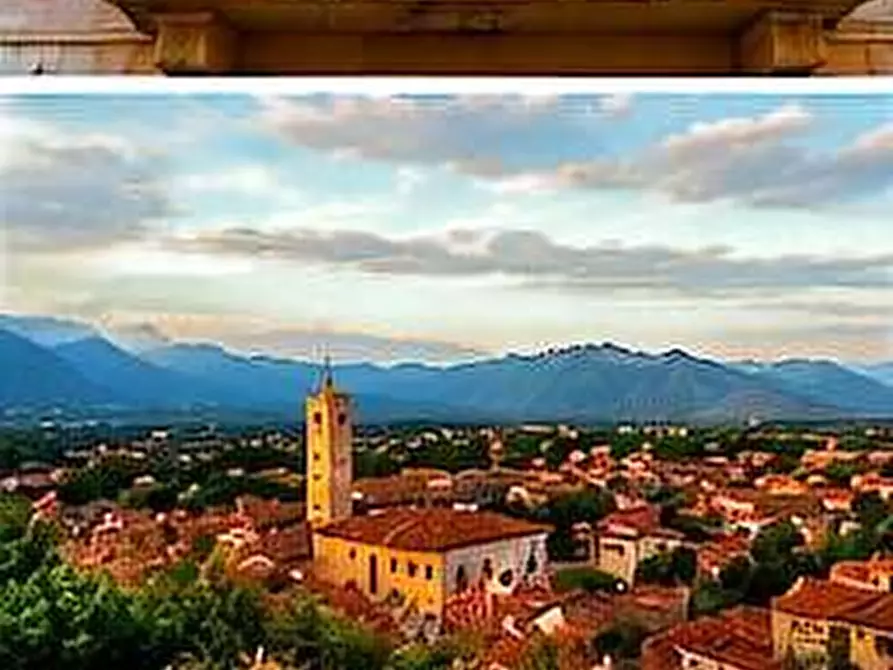 Immagine 23 di Attività artigianale in vendita  a Pietrasanta