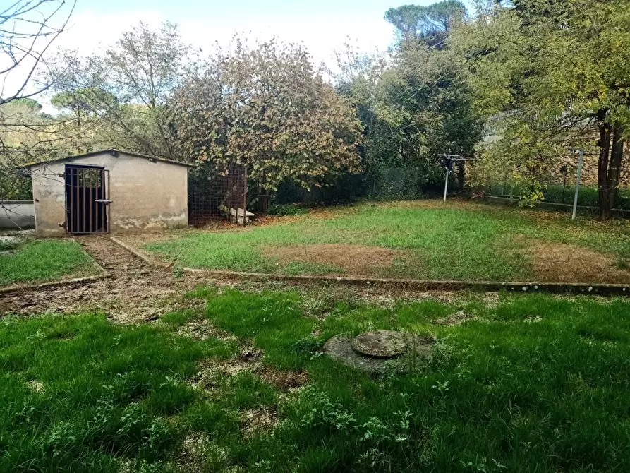 Immagine 11 di Villa in vendita  a Crespina Lorenzana