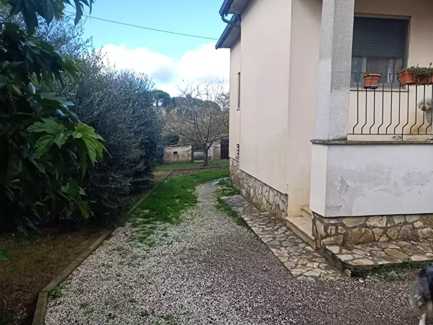 Immagine 10 di Villa in vendita  a Crespina Lorenzana