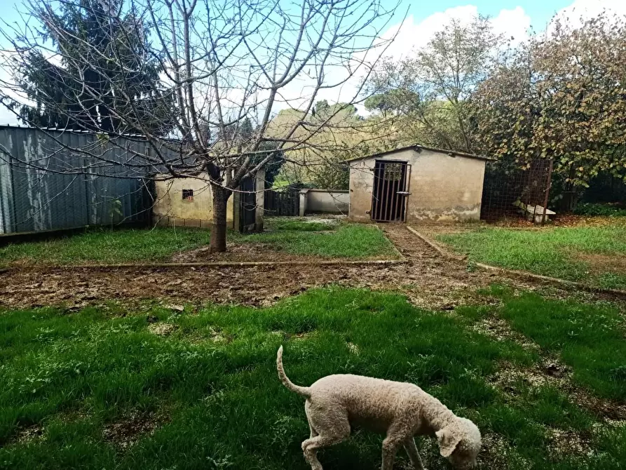 Immagine 6 di Villa in vendita  a Crespina Lorenzana