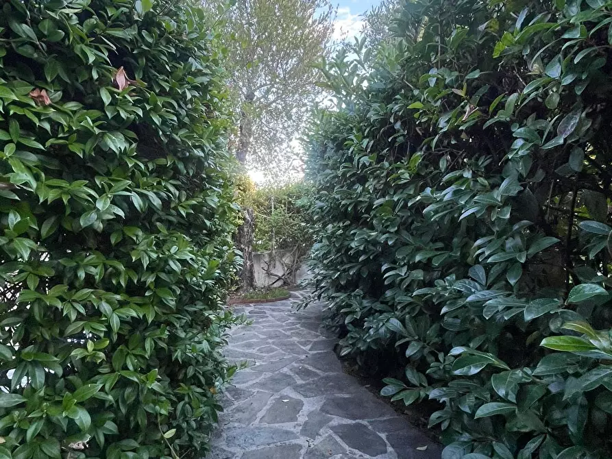 Immagine 63 di Villa in vendita  a San Giovanni A Piro