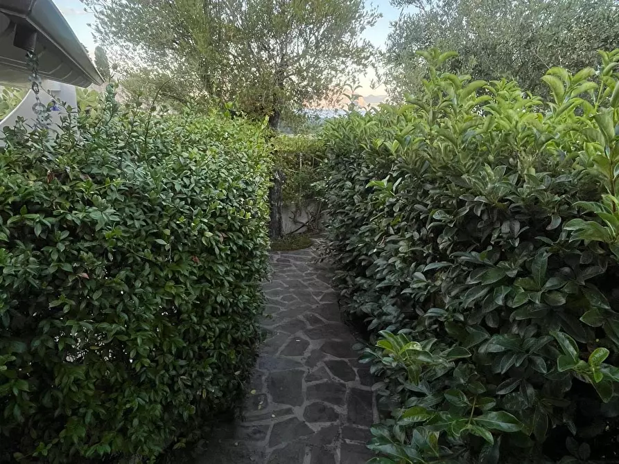 Immagine 62 di Villa in vendita  a San Giovanni A Piro