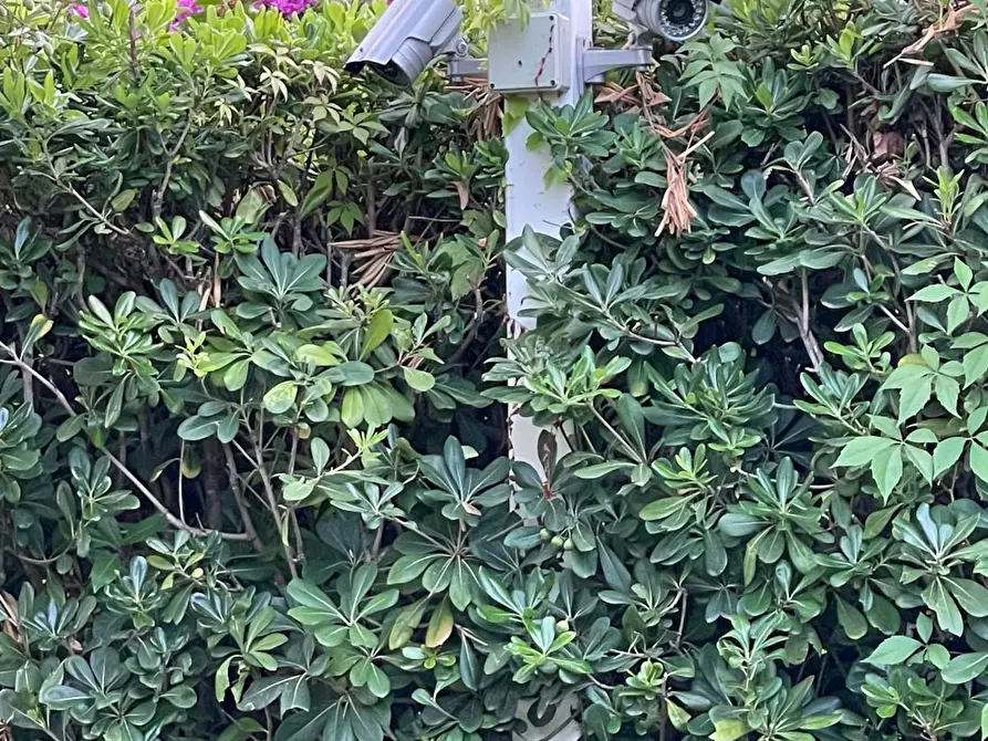 Immagine 45 di Villa in vendita  a San Giovanni A Piro