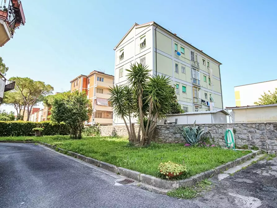 Immagine 37 di Appartamento in vendita  a Pisa