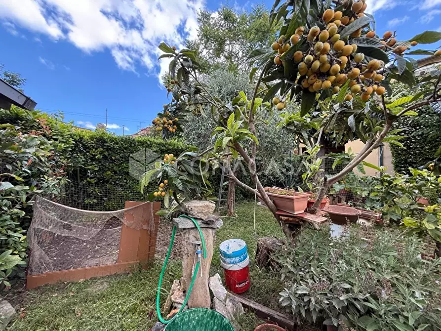 Immagine 40 di Appartamento in vendita  a Bientina